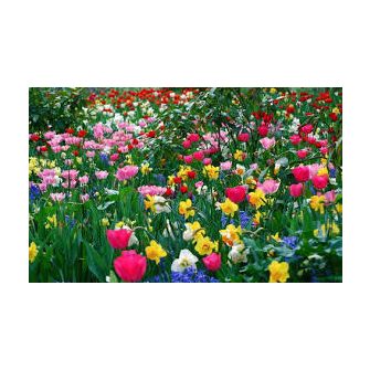 2026 Akciós termékek  Borovi kéreg